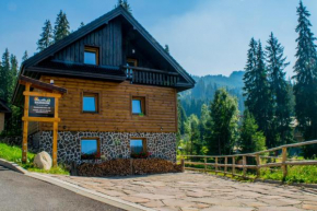 Гостиница Apartmány Skihouse Jasná  Демановска Дольна
